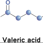 valeric-pentanoic-acid
