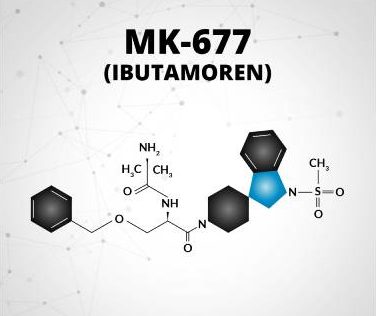 MK-677 Ibutamoren Review | Een Selectieve Androgeen Receptor Regulator ?