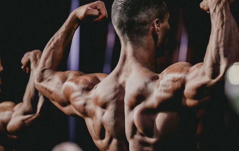 testofuel-bodybuilding-muscle.bulking