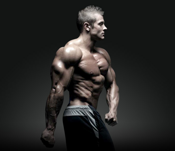 bodybuilding-muscles.body